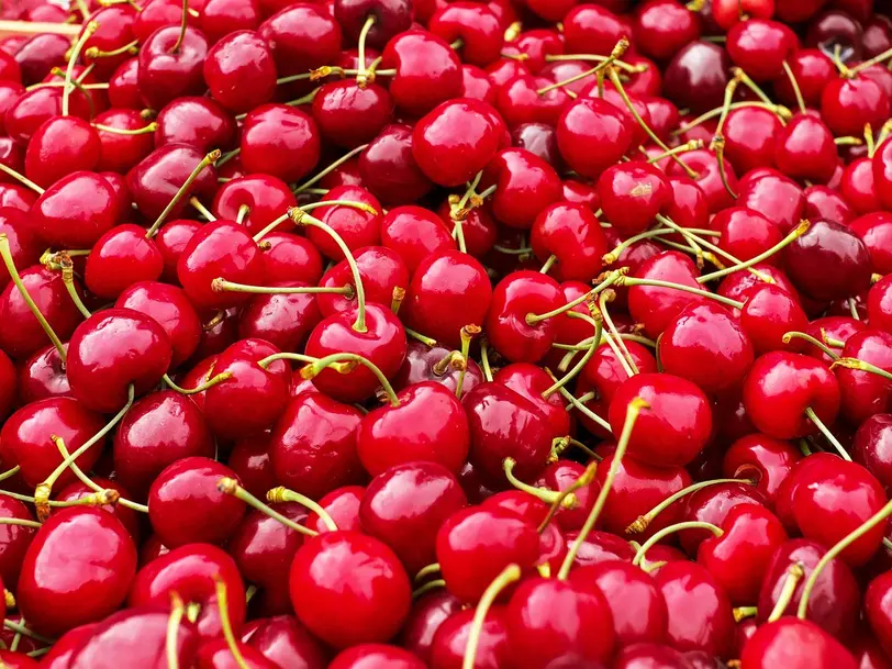 Fahner Frucht Lohnmosterei in Gierstädt